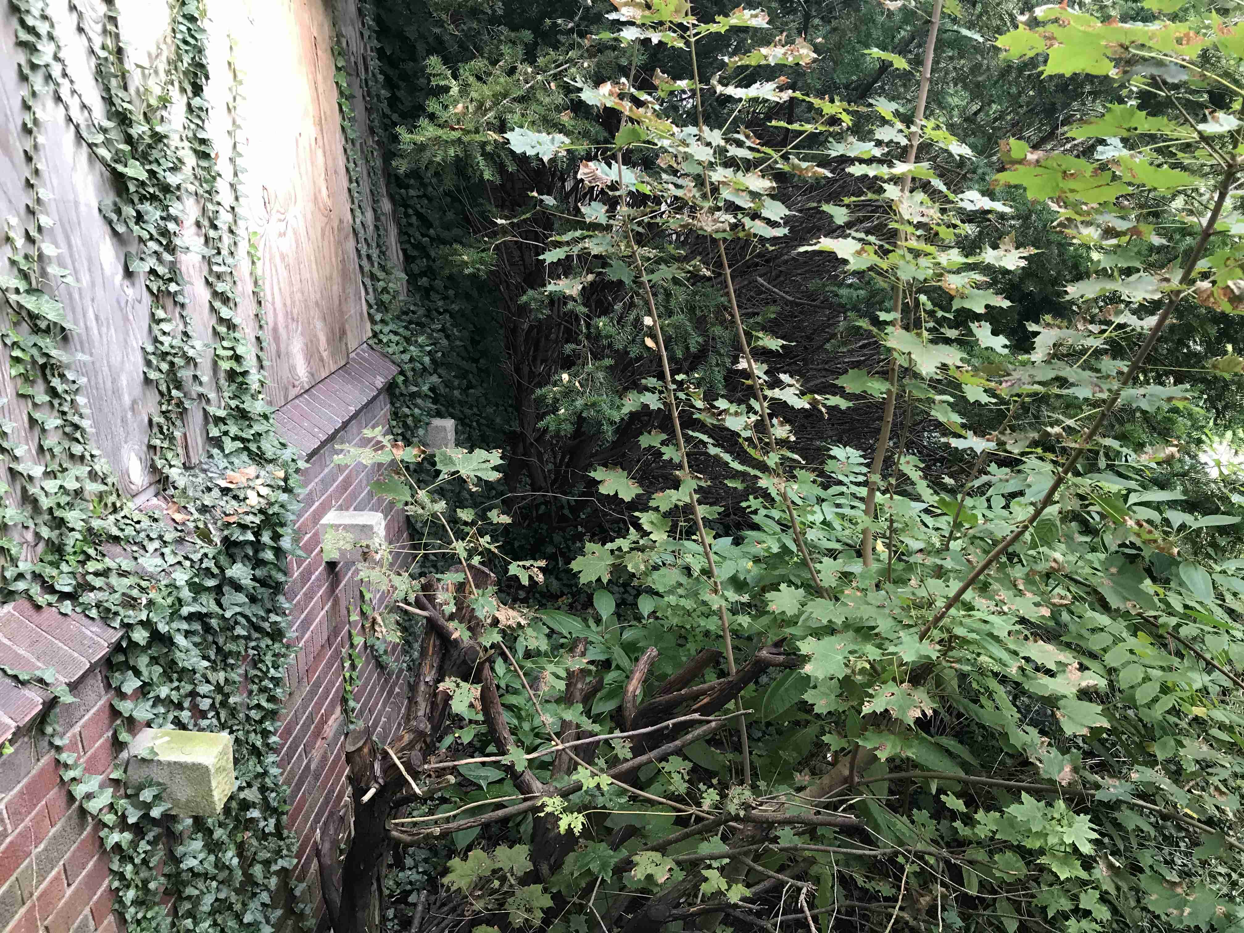 Photo Sep 10, 2 43 15 PM.jpg